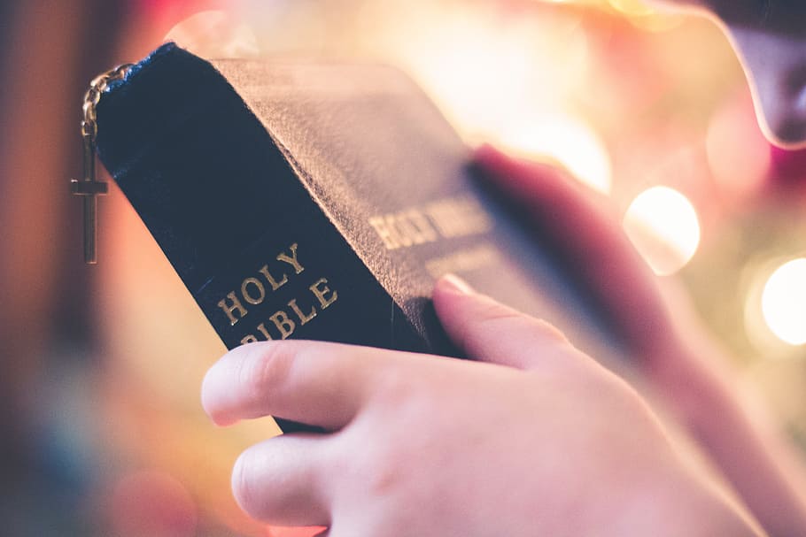 person holding Holy Bible book, cross, reading, religious, hand
