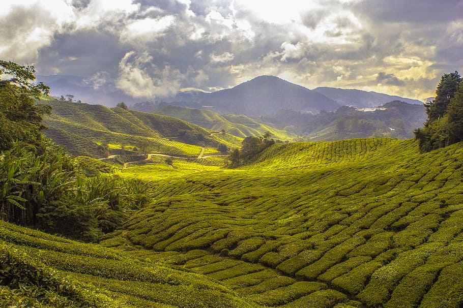 landscape photography of mountain, green grass field near mountain HD wallpaper