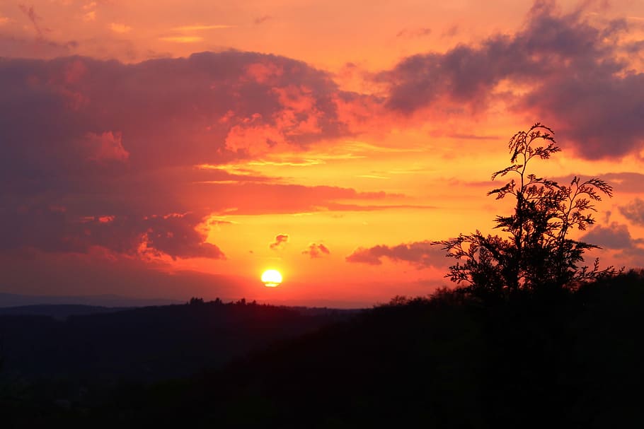 nature, sunset, hesse, dusk, orange Color, tree, sky, sunlight HD wallpaper