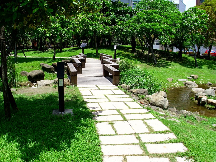 park, trail, tree, green, path, plant, bird, group of animals HD wallpaper