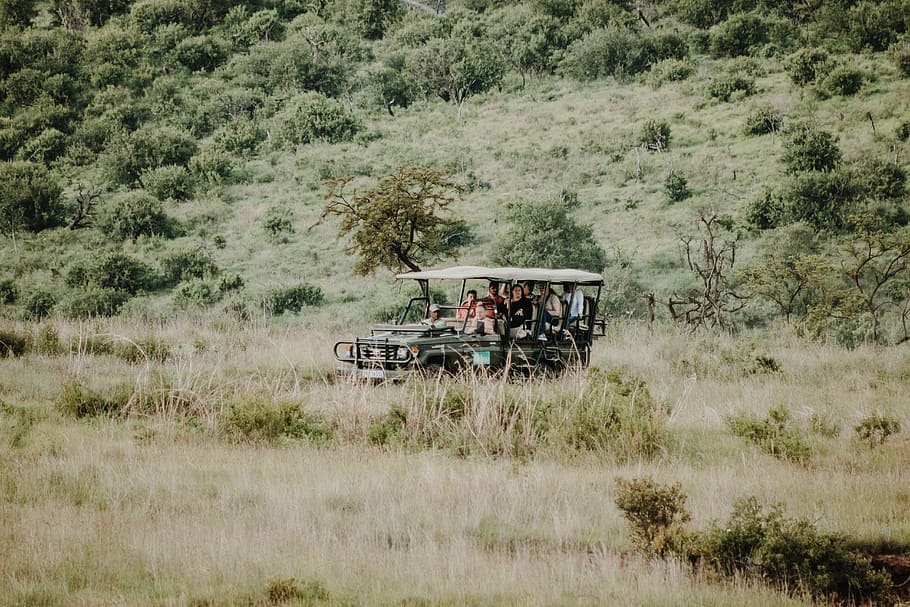 person riding in green UTV, people riding on vehicle in forest