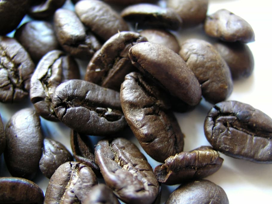 coffee, beans, roasted, pacamara beans, roasted coffee beans HD wallpaper