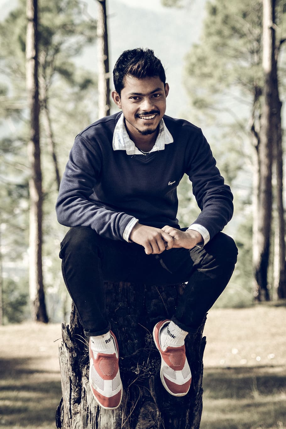Person Sitting on Tree Trunk, active, adult, blur, fall, forest HD wallpaper
