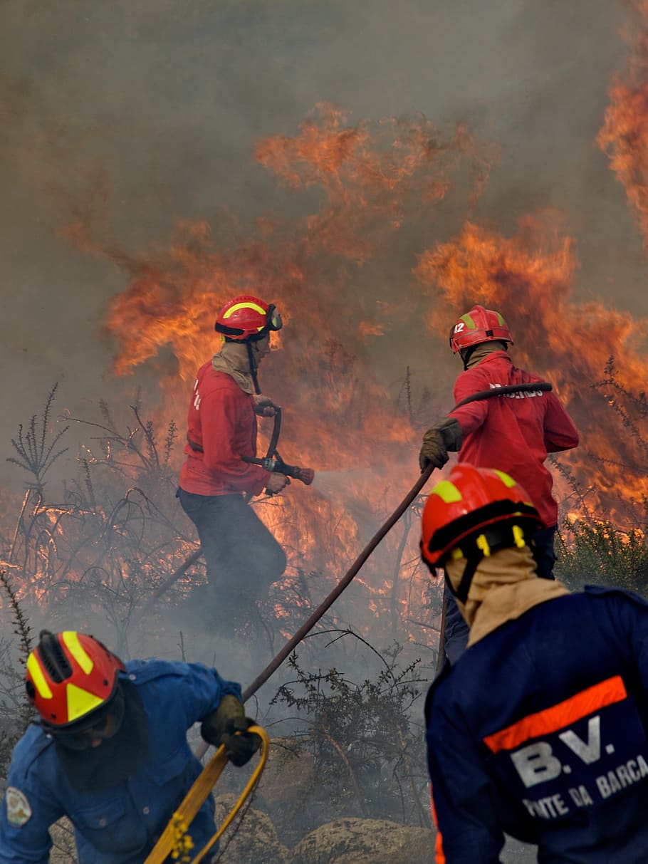 Firefighters, Action, Fireman, flames, service, helmet, headwear HD wallpaper