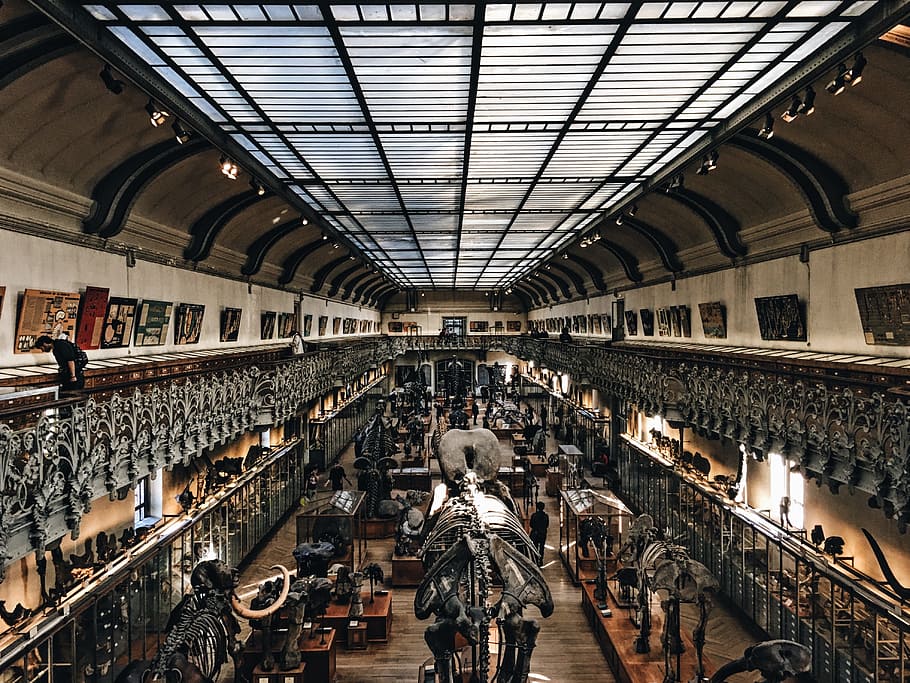 architecture, building, infrastructure, establishment, museum HD wallpaper