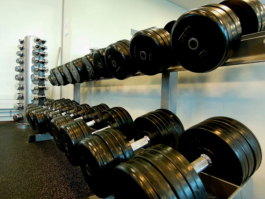 dumbbells on rack, Sports, Weights, weightlifting, in the gym