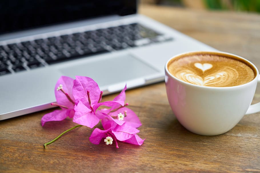 pink bougainvillea flower beside cup of coffee and silver laptop computer on brown wooden table, HD wallpaper
