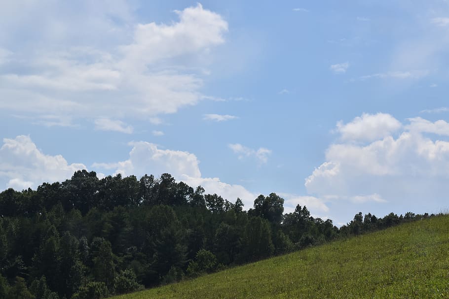 clouds, farm, kentucky, cloud - sky, beauty in nature, plant HD wallpaper