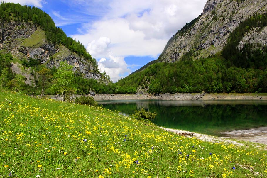 Mountains, Meadow, Dachstein, Alpine, hiking, lake, austria HD wallpaper