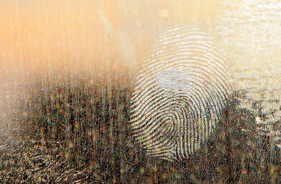 fingerprint on glass, dirt, dirty, fingerprints, forensics, grease