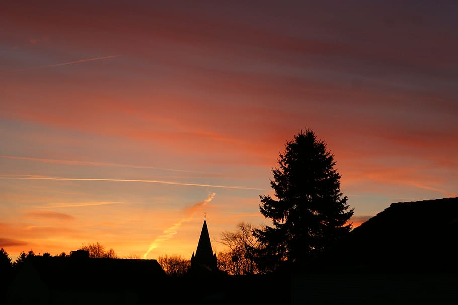 erwitte, afterglow, nature, sunset, silhouette, sky, tree, plant HD wallpaper