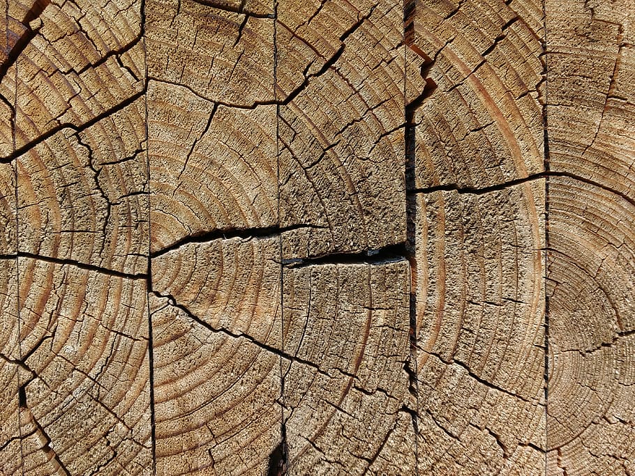 wood, glued, weathered, jumped, cracks, old, annual rings, pattern, HD wallpaper