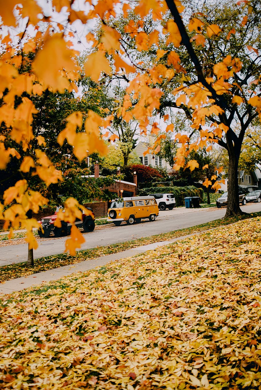 photo of orange leaves, brown van parked on side of road, autumn HD wallpaper