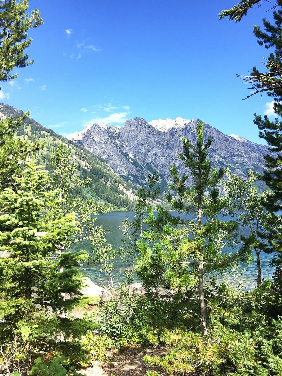 Grand Tetons, National, lake, lake jenny, wyoming, park, mountain, HD wallpaper