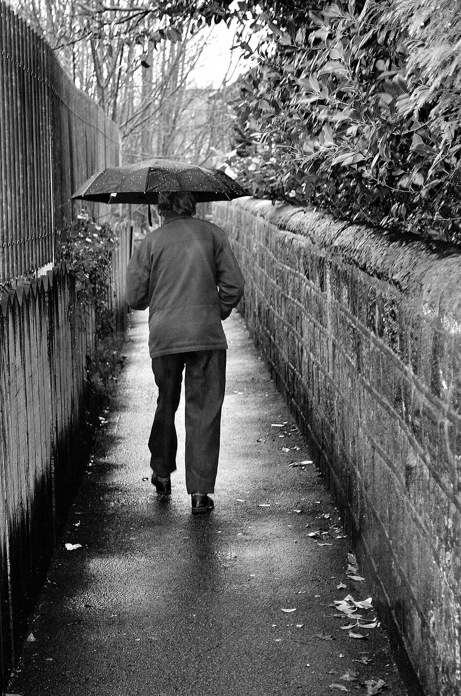 old, man, rain, black, white, seasons, winter, weather, umbrella HD wallpaper