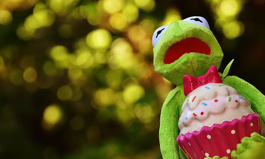 kermit, frog, cupcake, funny, animal, stuffed animal, soft toy HD wallpaper