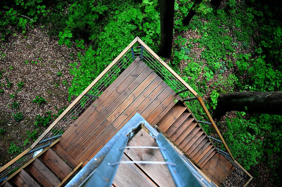 stairs, bird's eye view, trees, architecture, perspective, rustic HD wallpaper