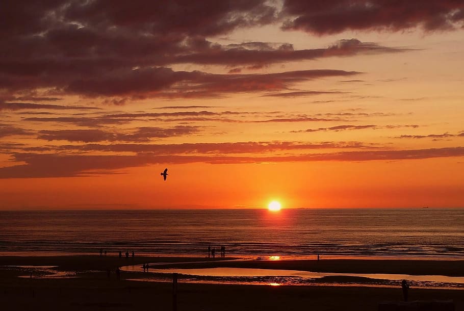 sea, beach, water, wave, sun, sunset, abendstimmung, clouds HD wallpaper