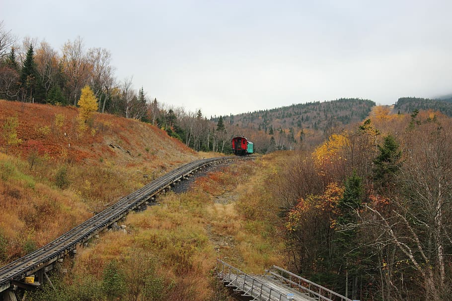 Train Tracks, Caboose, Grass, Trees, horizon, transport, railroad car HD wallpaper