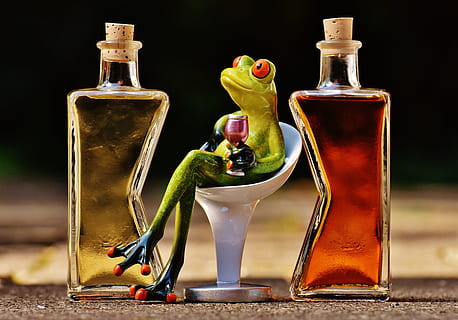 selective focus photography of frog holding wine glass while sitting HD wallpaper