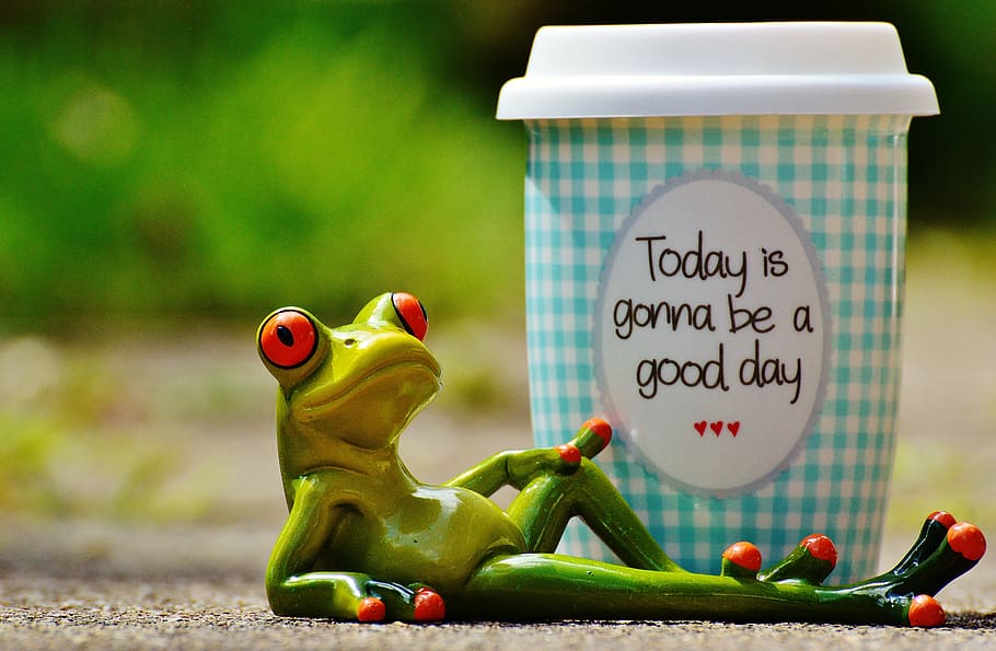 beautiful day, joy, frog, coffee, cup, happy, happiness, start, HD wallpaper