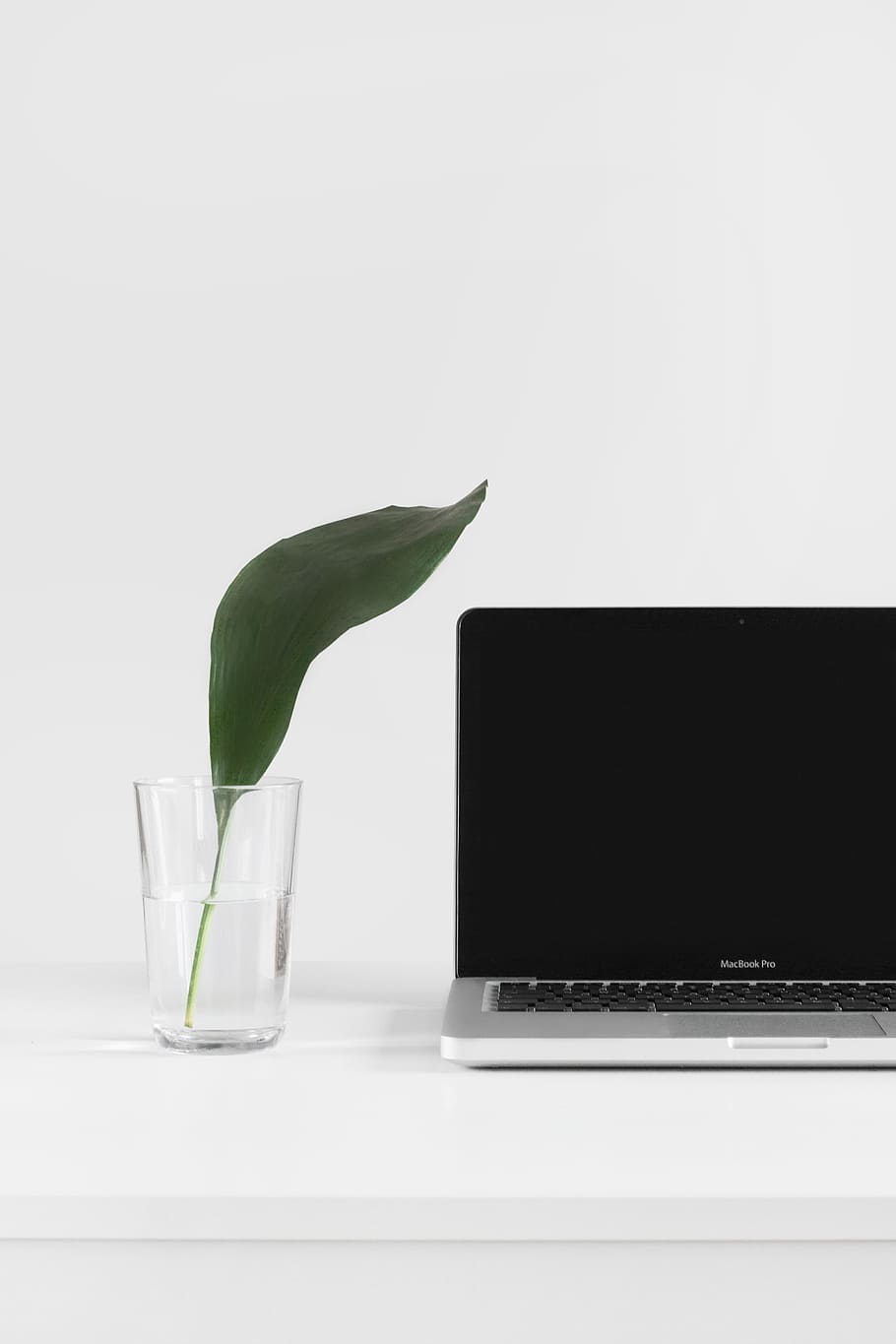 MacBook Pro beside plant in vase, MacBook Pro beside clear drinking glass HD wallpaper