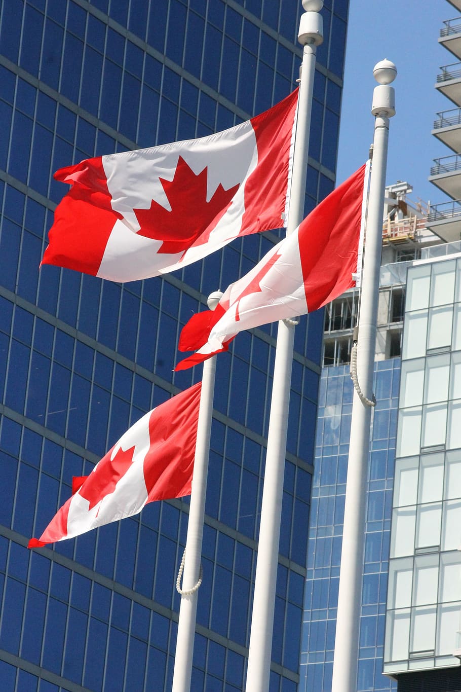 canada flags, vancouver, red, low angle view, architecture HD wallpaper