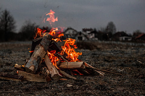 burning firewood, bonfire on ground, Exploring, friends, log HD wallpaper