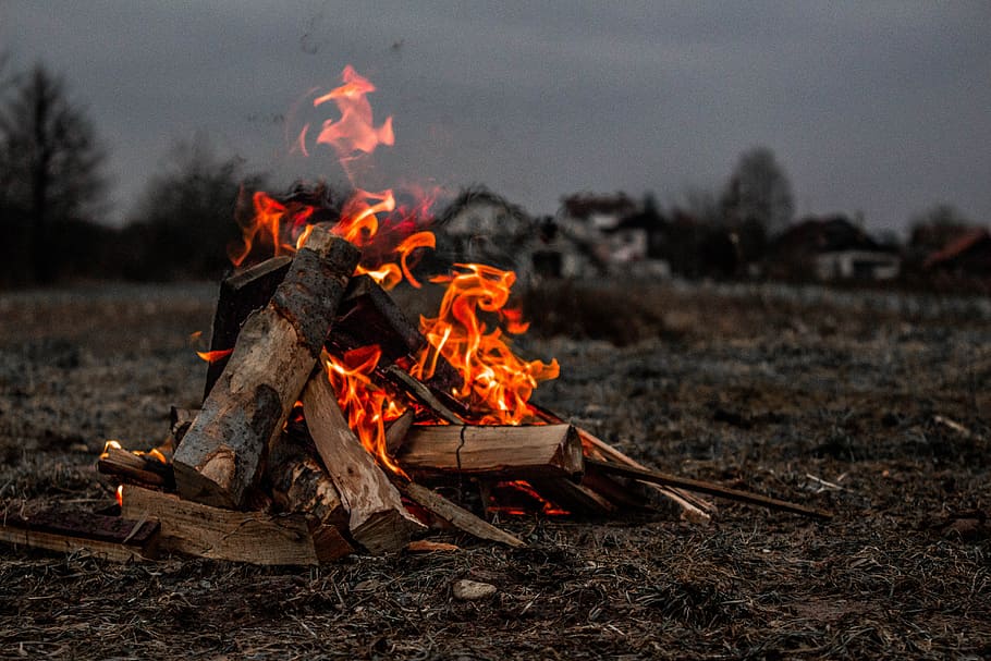 burning firewood, bonfire on ground, Exploring, friends, log