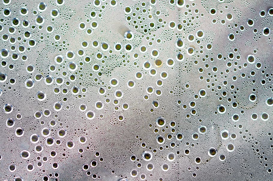 water, raindrop, wet, transparent, bubble, droplet, refreshment HD wallpaper