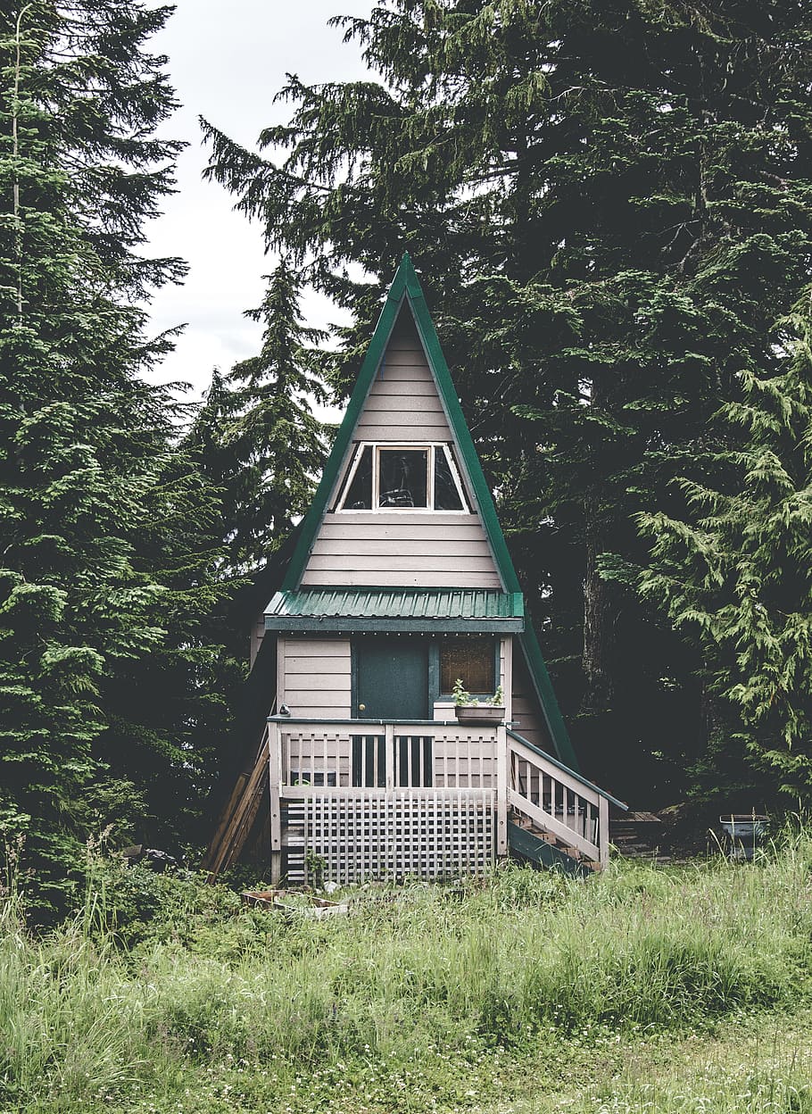 closeup photography of white and green bungalow house surrounded by trees, green and white wooden house surrounded by trees under white clouds at daytime HD wallpaper