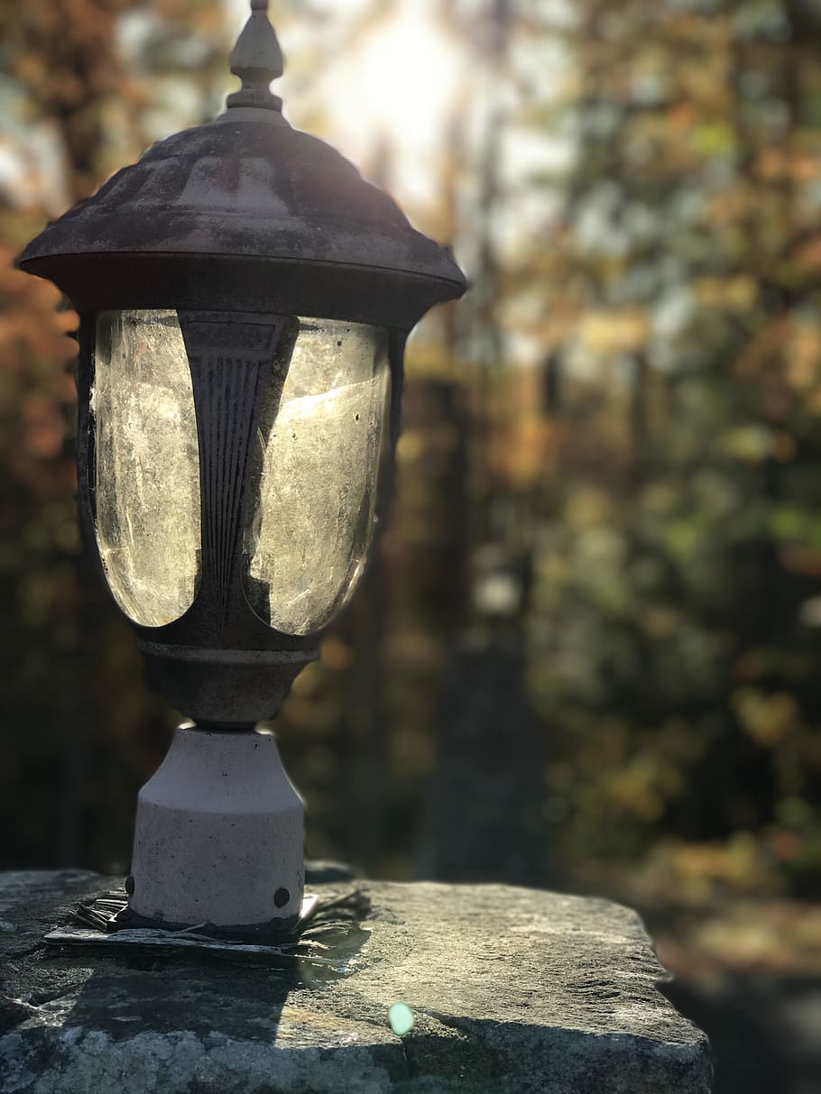 Lamp, Yard, Fall, park, no people, focus on foreground, outdoors HD wallpaper