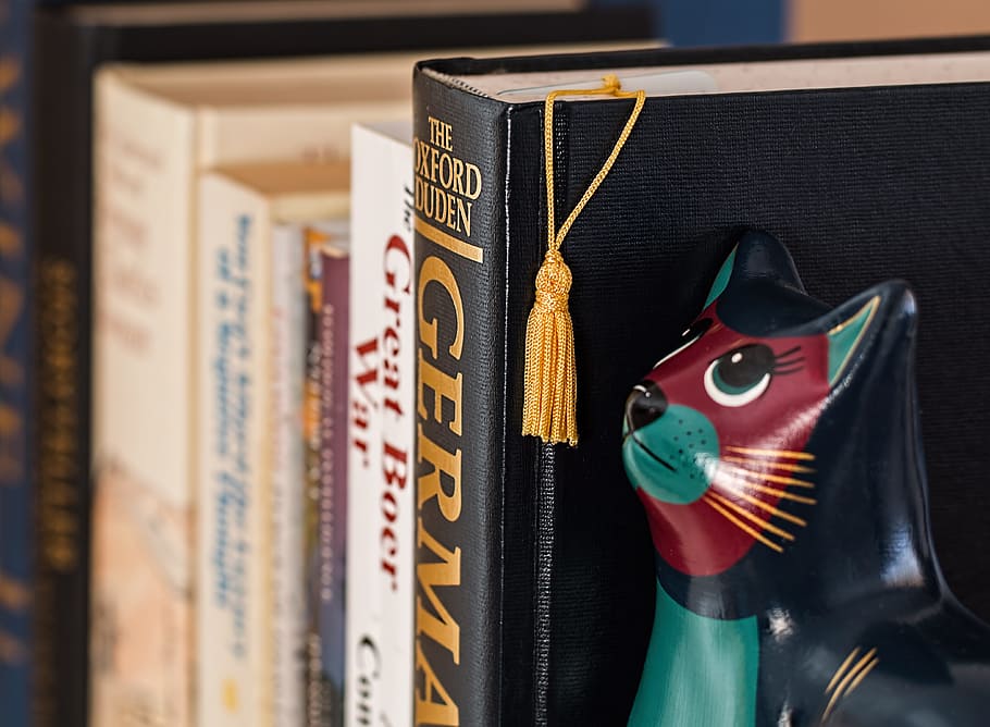 book with yellow tassel with cat print, bookshelf, reading HD wallpaper