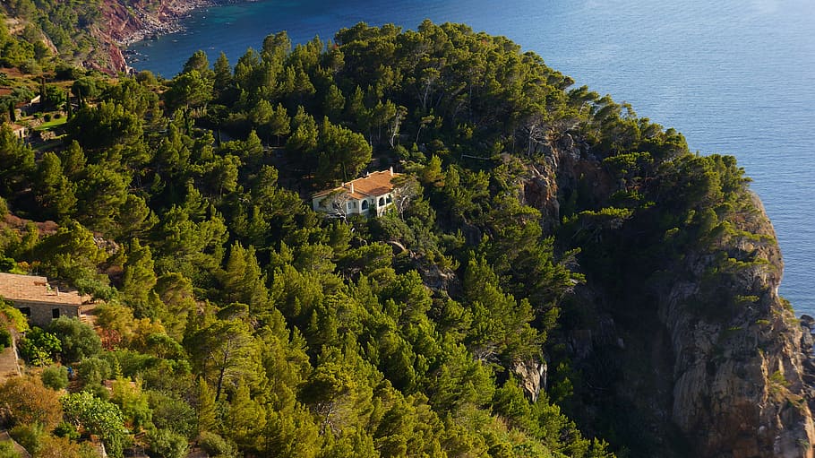 forest, house, tree, cottage, mountains, view, landscape, tourism HD wallpaper