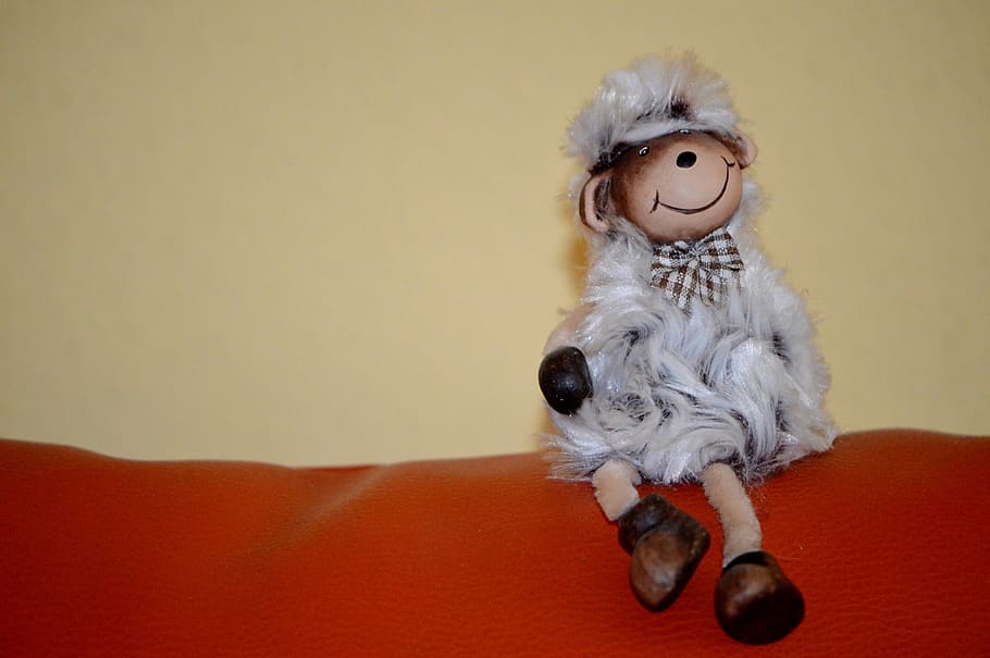 sheep, background, funny, cute, cheerful, indoors, mammal, domestic HD wallpaper