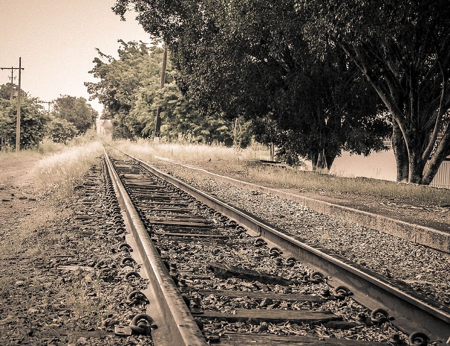 path, train, time, saudade, rail transportation, track, tree HD wallpaper
