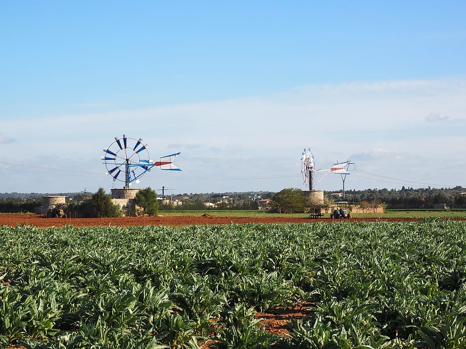 Windmill, Mallorca, Muro, wind energy, wing, wind power, field HD wallpaper