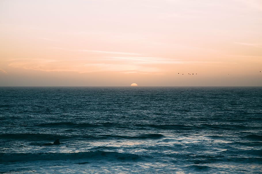 body of water during golden hour, sea, ocean, wave, horizon HD wallpaper