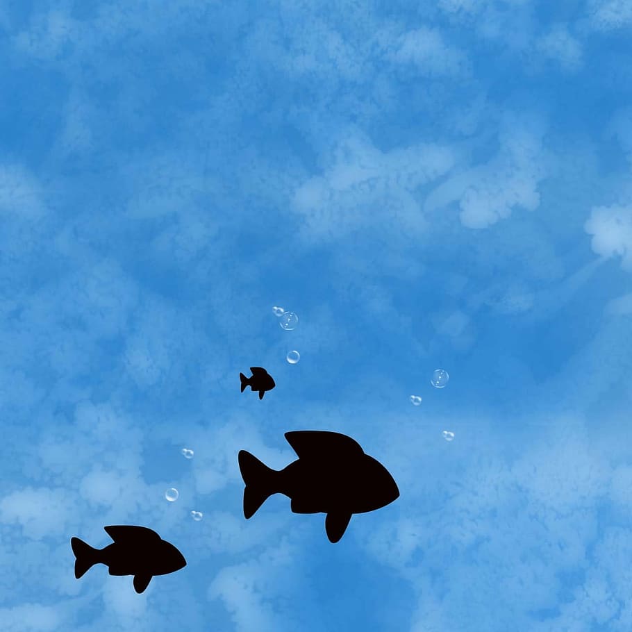 water, fish, bubbles, silhouette, texture, underwater, marine HD wallpaper