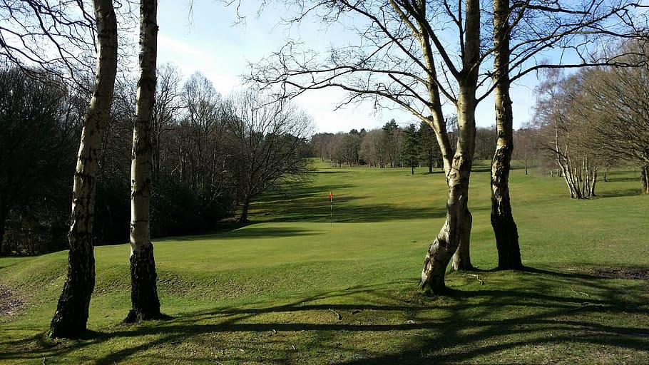 golf, green, grass, golfing, golfball, putting, flag, course HD wallpaper
