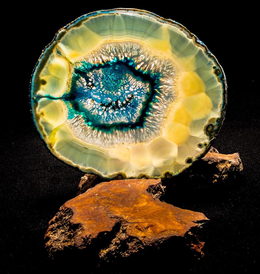 agate slice, blue, close, light, animal, animal themes, animal wildlife HD wallpaper