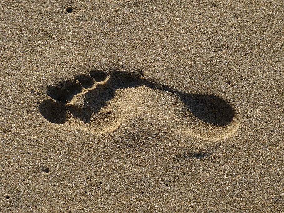 footprint on the sand, beach, trace, tracks in the sand, footprints in the sand