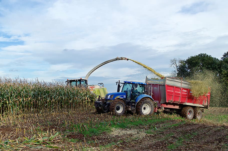 silage, tractor, trailer, field, plant, cloud - sky, agriculture, HD wallpaper