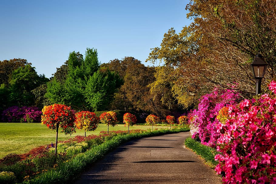 Bellingrath Gardens landscape in Alabama, botany, flowers, photos, HD wallpaper