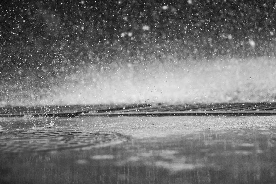 greyscale photography of rain drops, drip, shower, scene, nature HD wallpaper