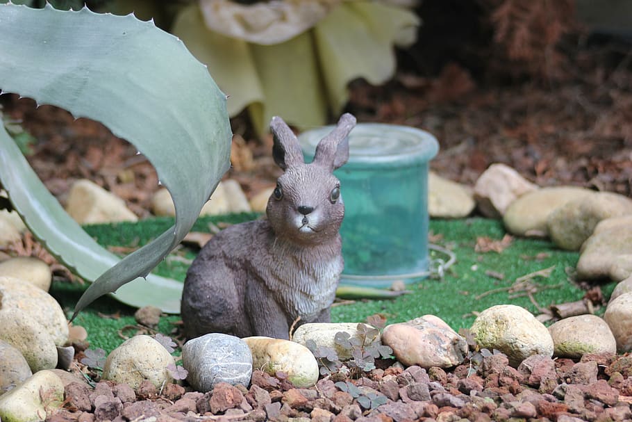 doorstop, rabbit, garden, animal themes, mammal, one animal HD wallpaper