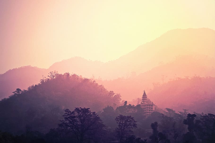 silhouette view of a building in the middle of the forest, temple HD wallpaper