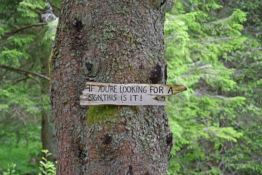 shield, note, fun, sign, signs, hoax, directory, wooden sign HD wallpaper