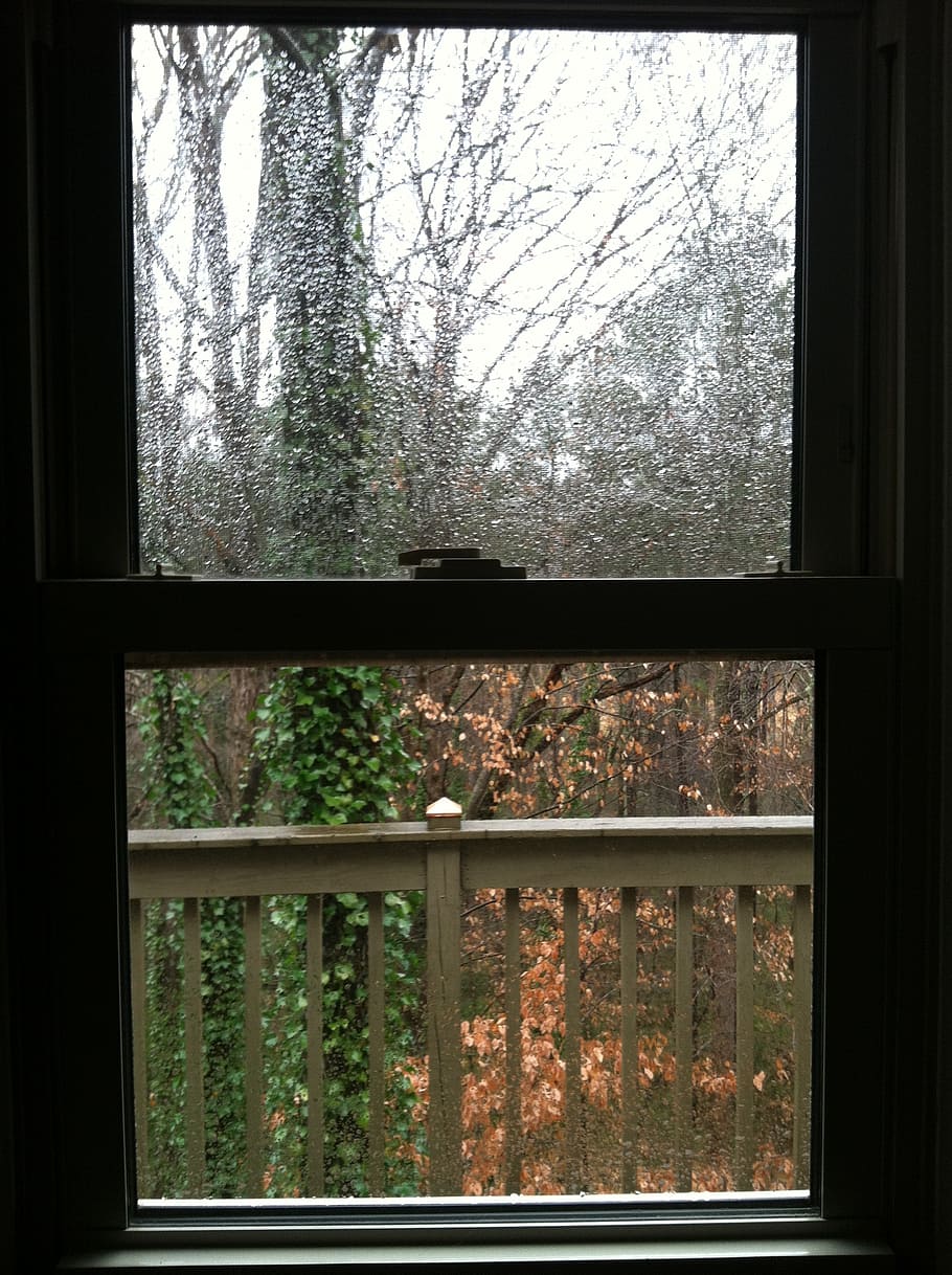 window, nature, rain, rain drop, raindrop, rain drops, frame HD wallpaper