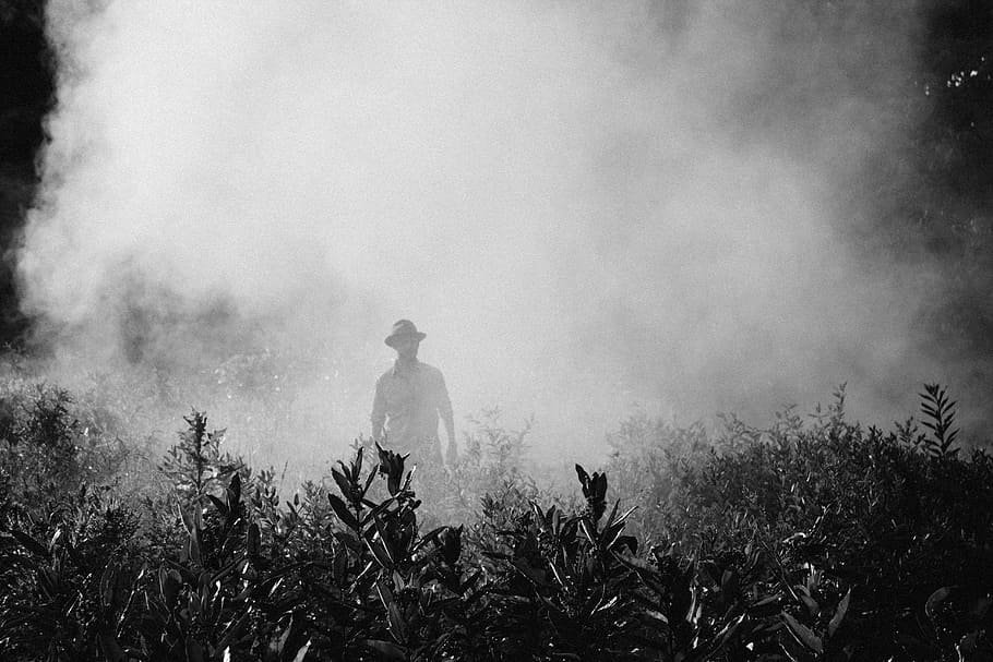 man standing in foggy area, man with cap covered wit fog, smoke, HD wallpaper